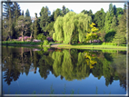 foto Parco Karlsaue in Estate
